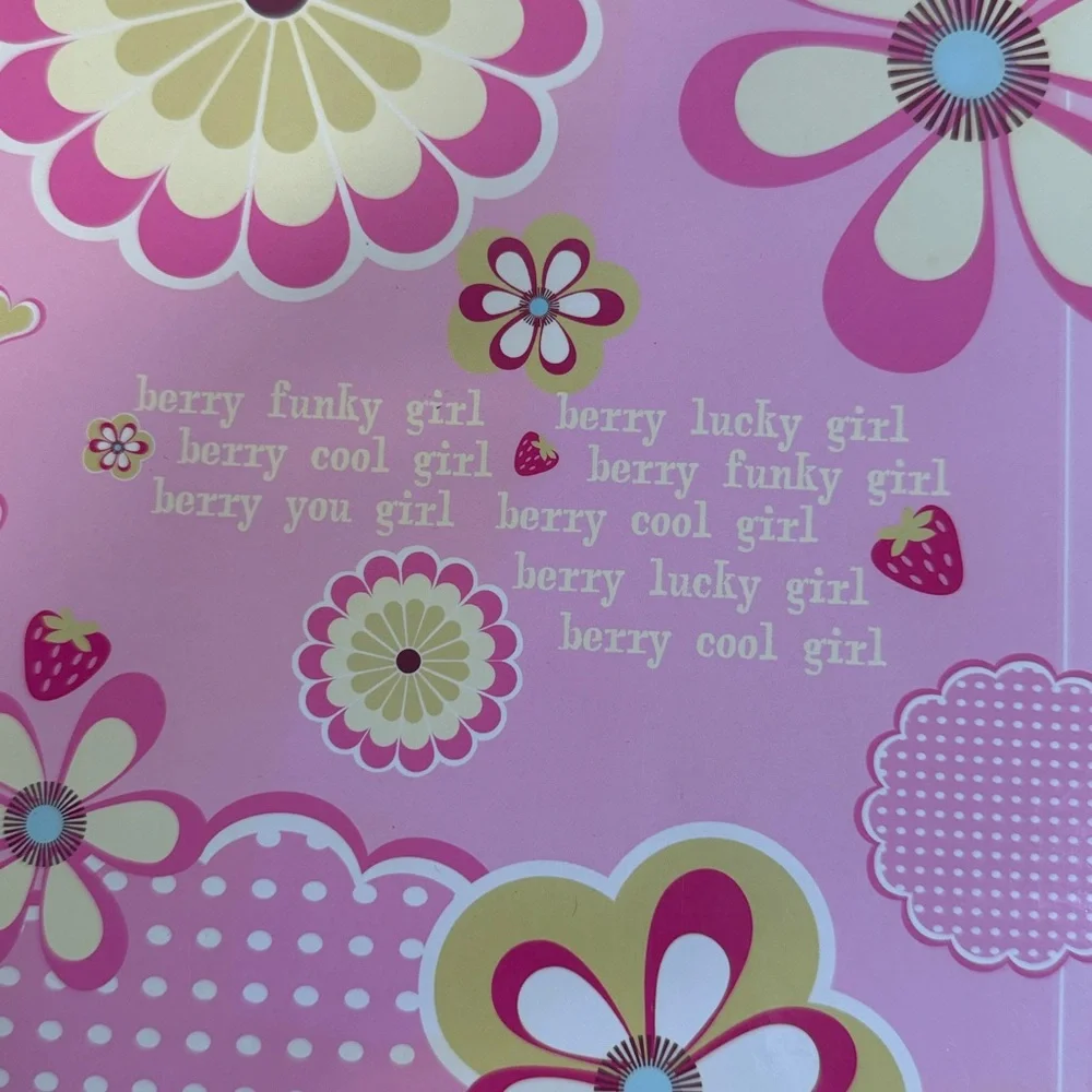 Vintage Strawberry Shortcake 2005 2 Pocket Portfolio Folders 3 Ring